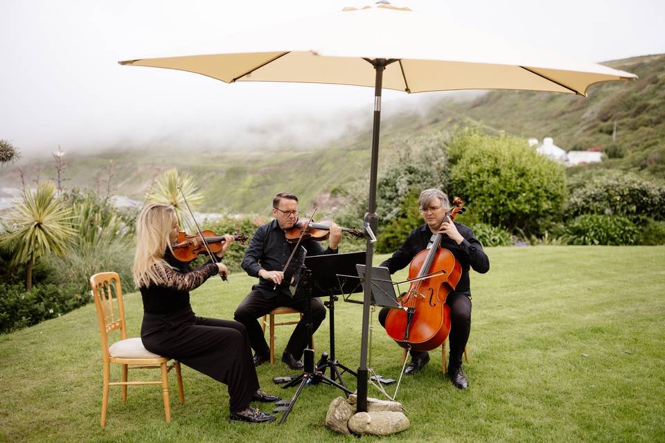 Music on lawn