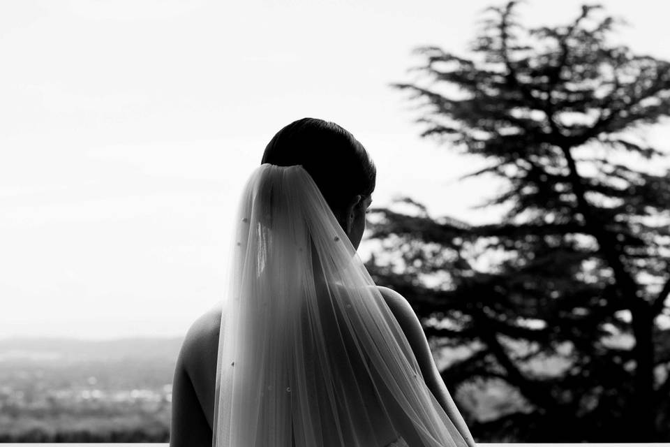 Bridal Portrait
