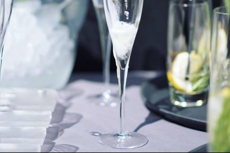 Fizz