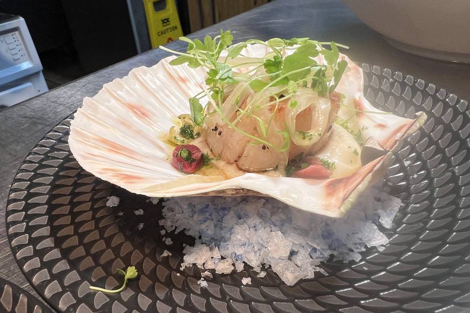 Scallops in the shell