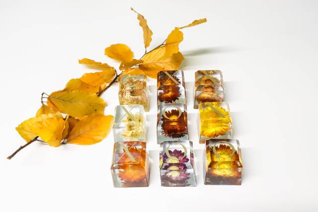 Large Naughts & crosses