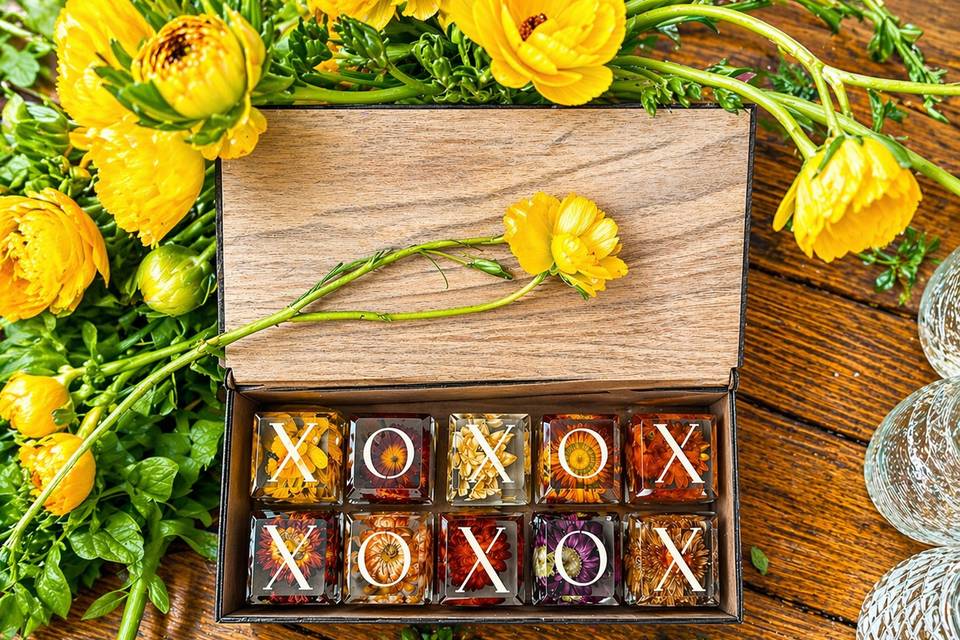 Large naughts and crosses boxe