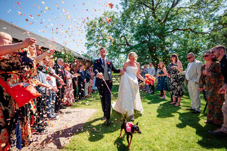 Dog Friendly Ceremonies