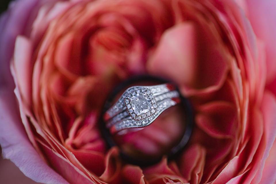 The ring - Thistle + Stone Photography