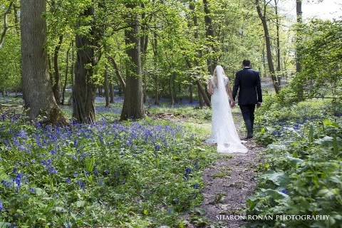 Bluebell woods