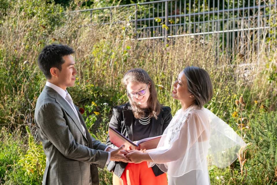 N&G in Camley Street Park