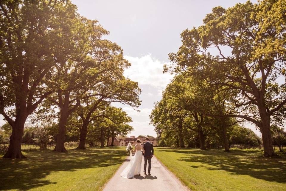 Oak-lined Driveway