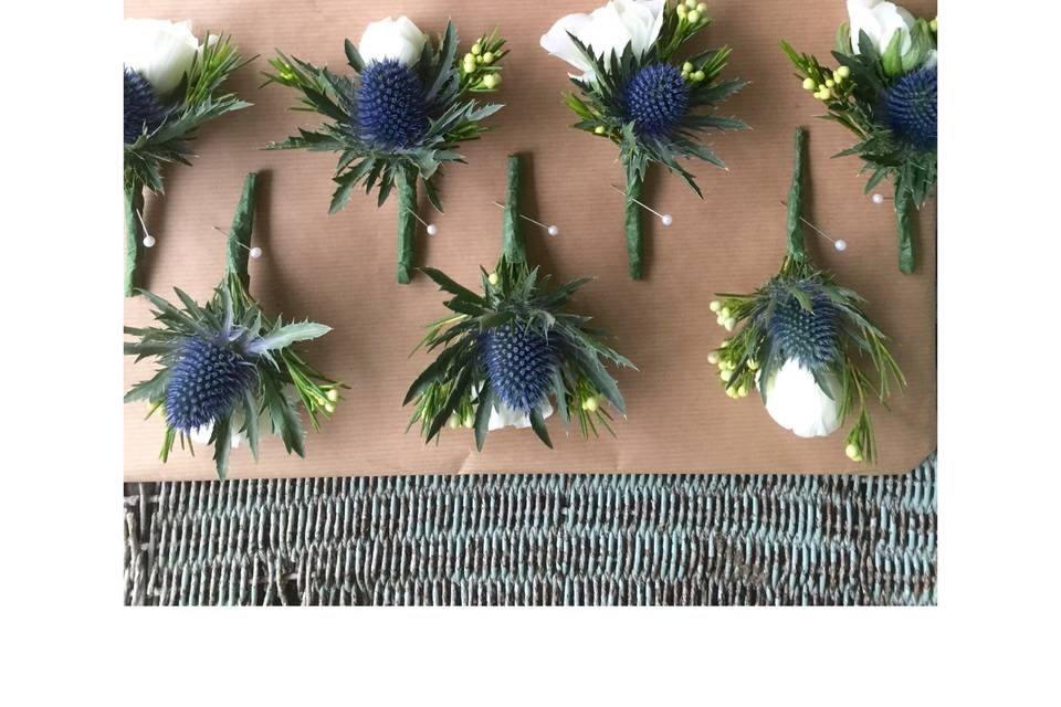 Buttonholes