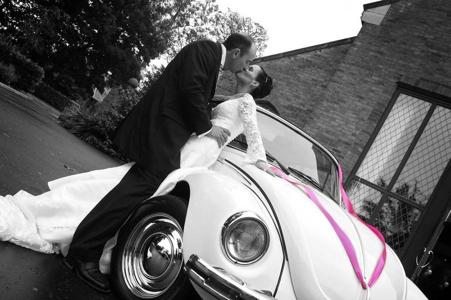 Beetle weddings ni