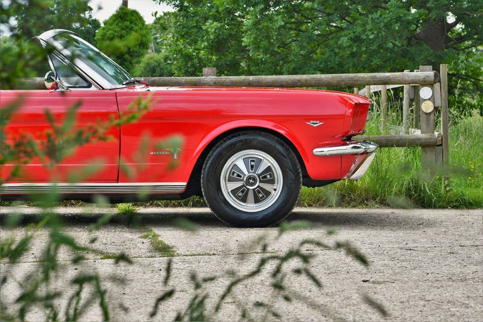 Mustang v8