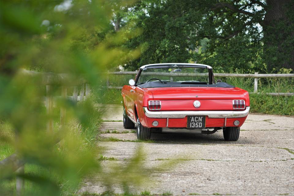 Mustang rear