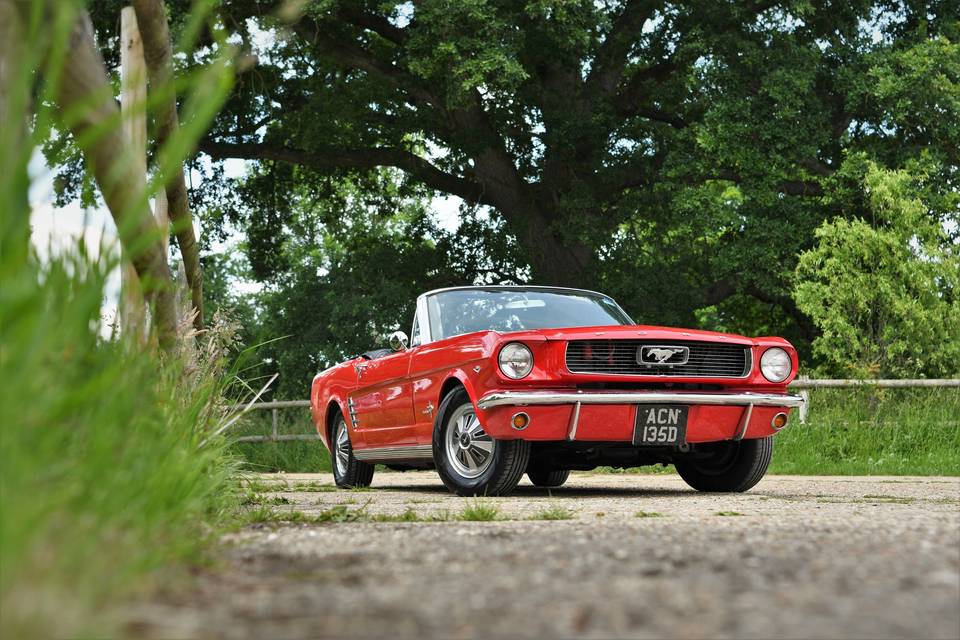 Mustang convertible