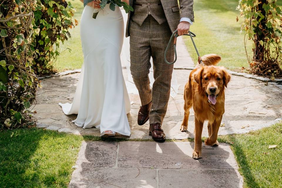 Bride and groom with dog