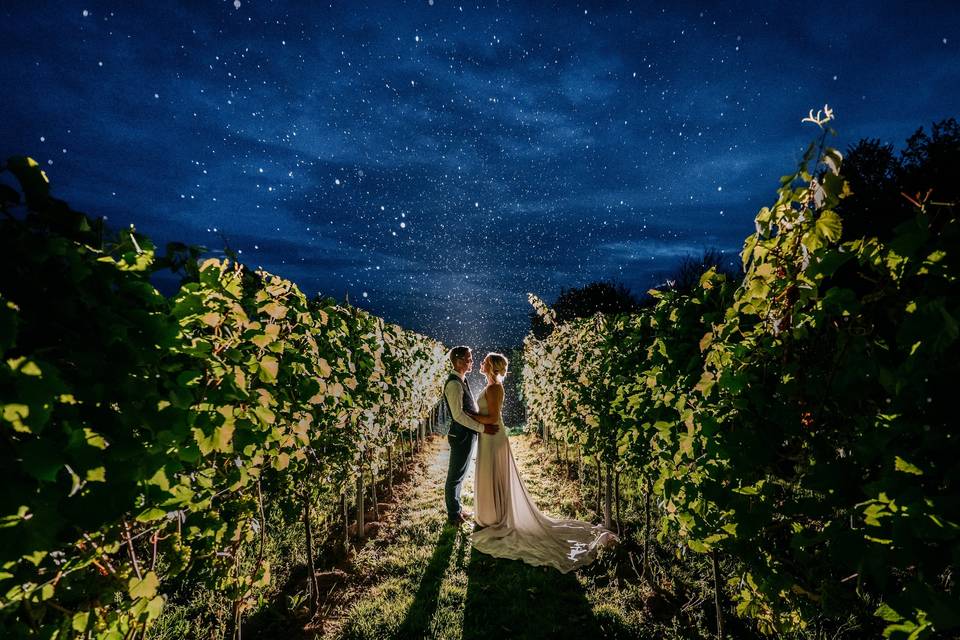 Vineyard at night