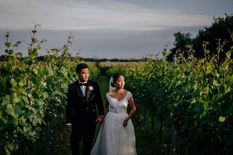 Vineyard Wedding