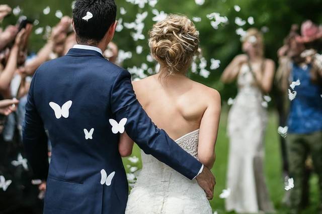 Butterfly Wedding