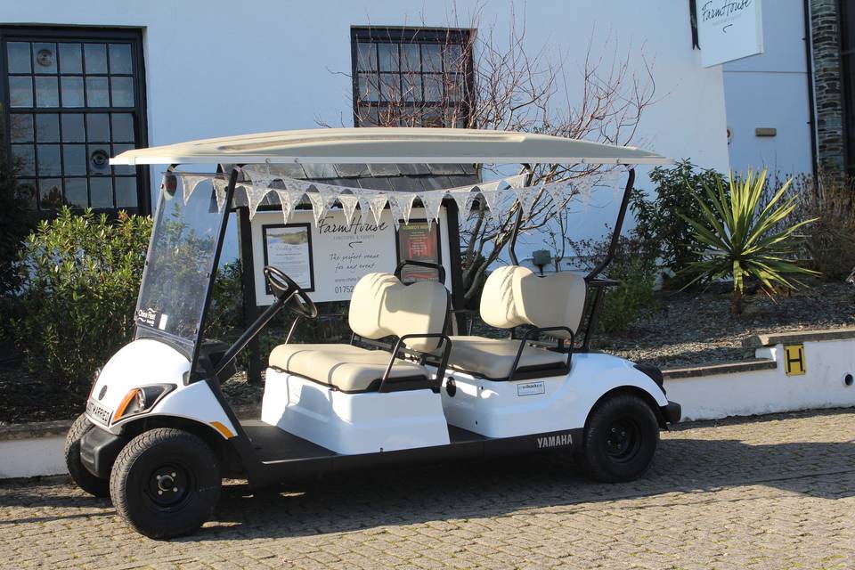 Wedding Buggy