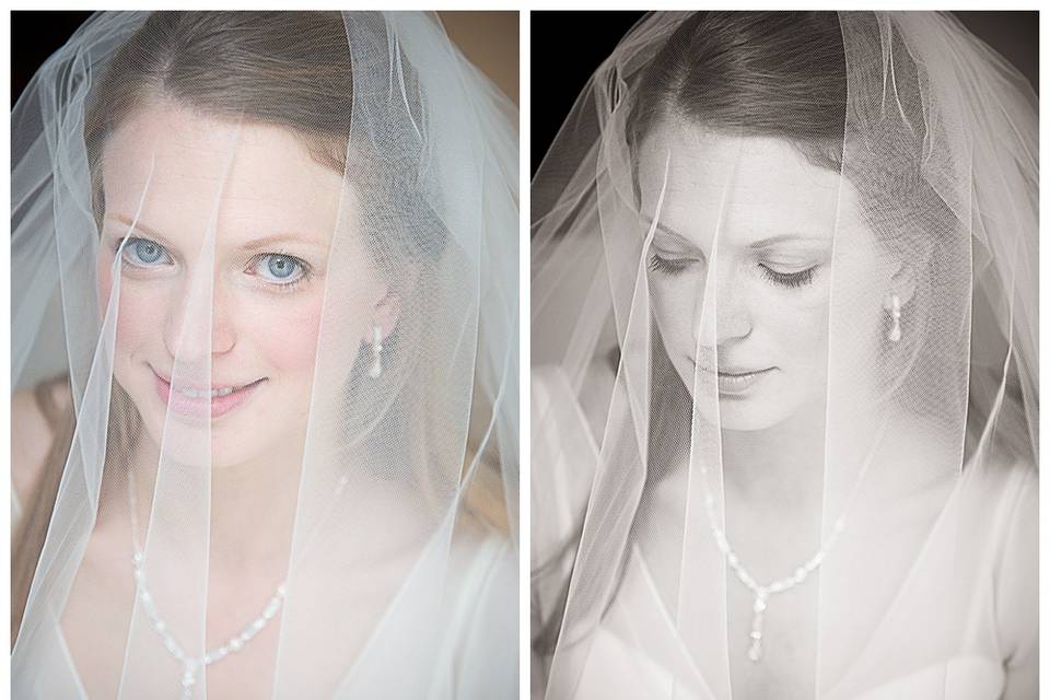 Bridal portraits with veil
