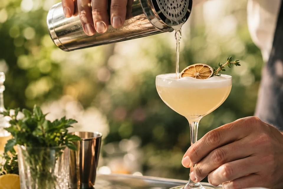 Lemon & Thyme Cocktail