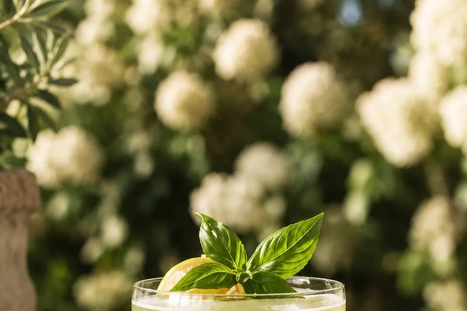 Lemon & Basil Vodka Martini