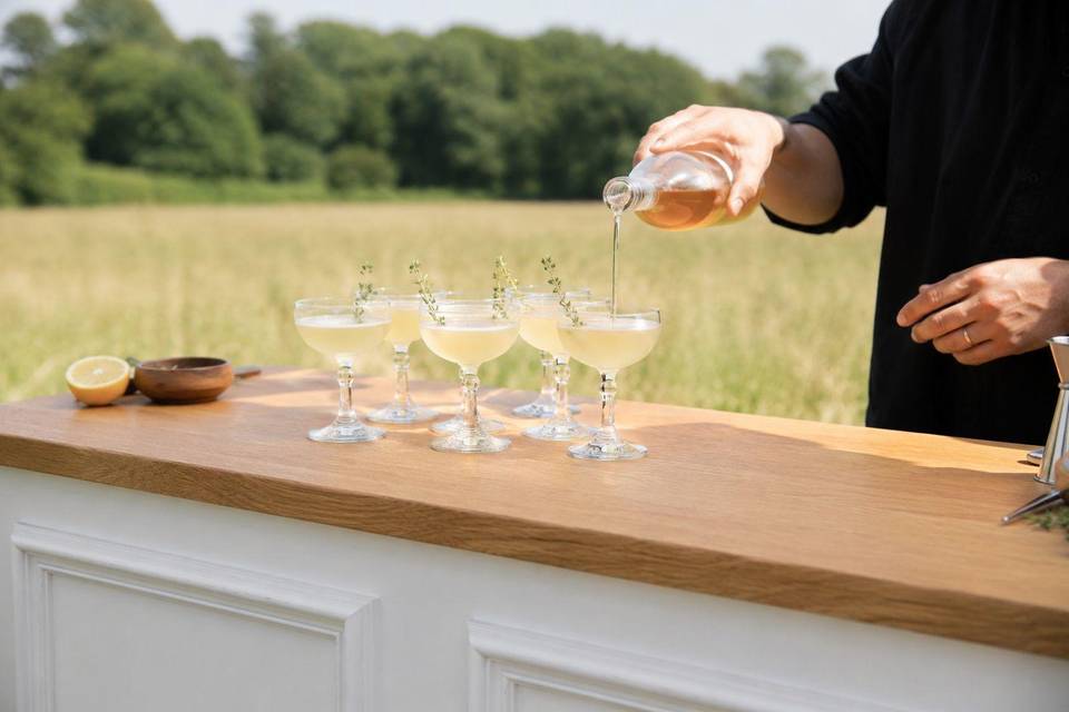 Meadow Cocktail Reception