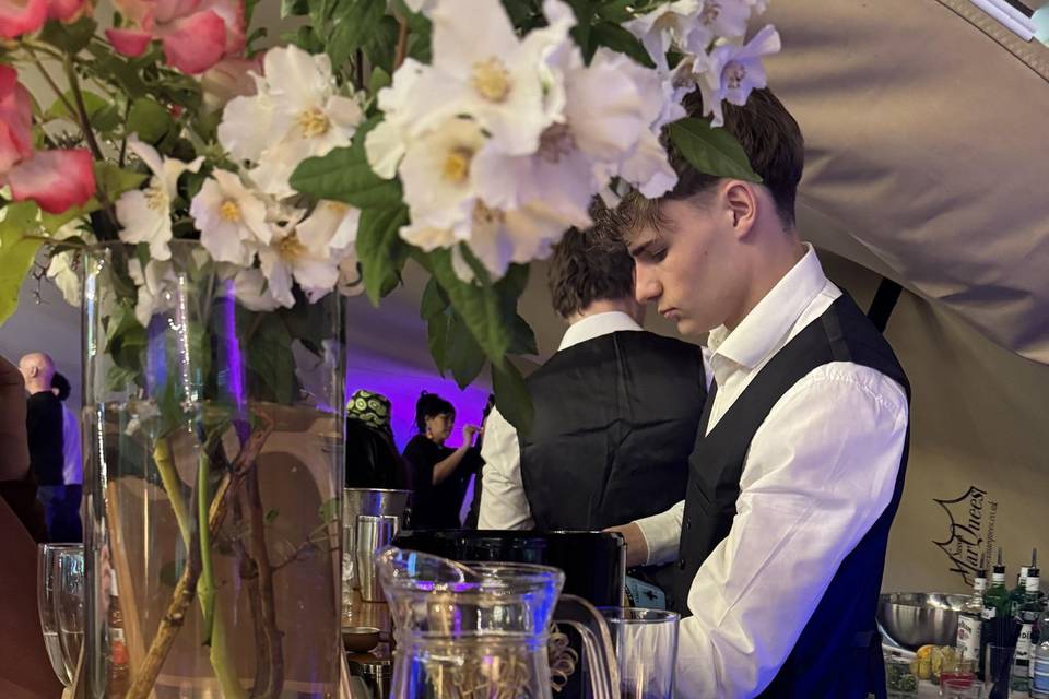Bar-mitzvah Cocktail Hour