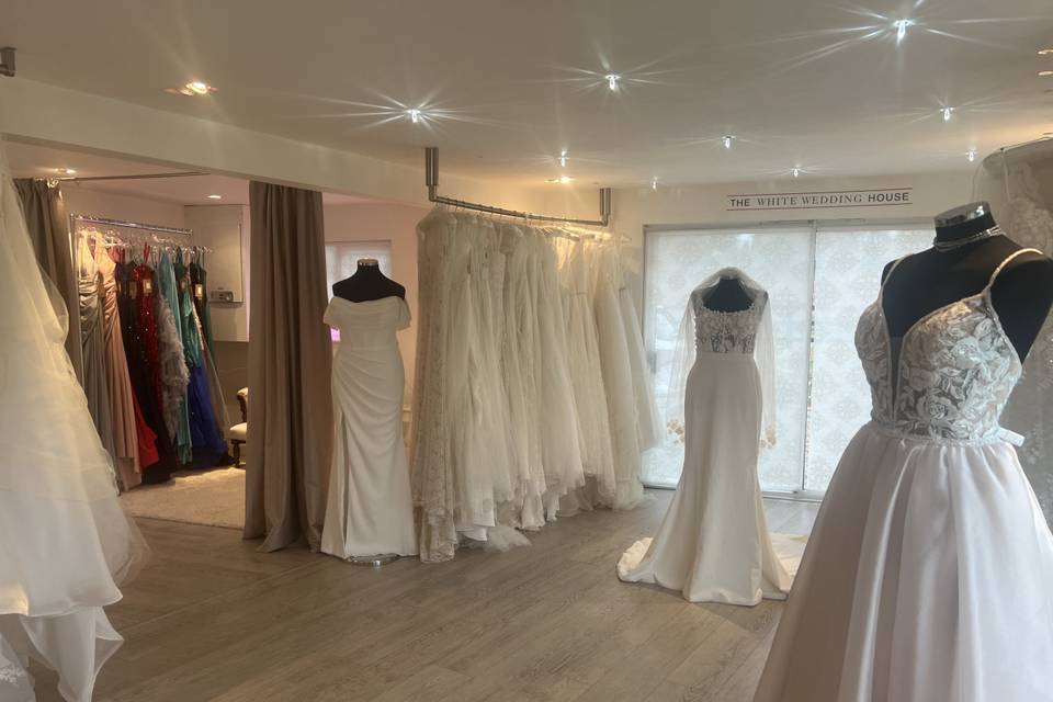 Large Collection of Dresses