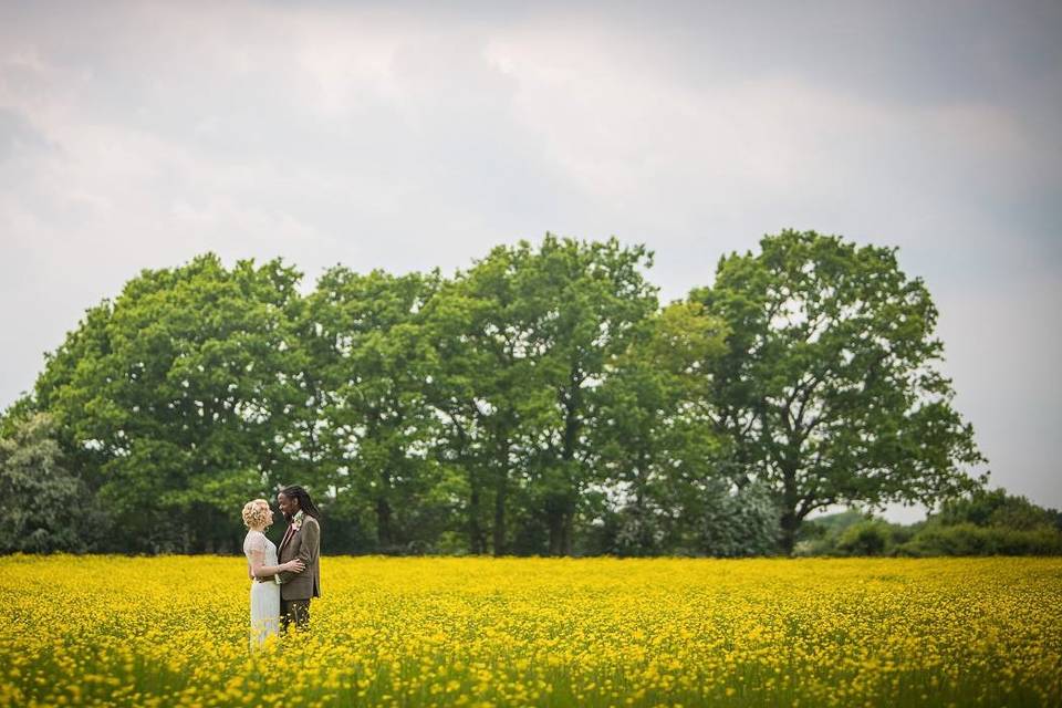 Rolling Kent countryside