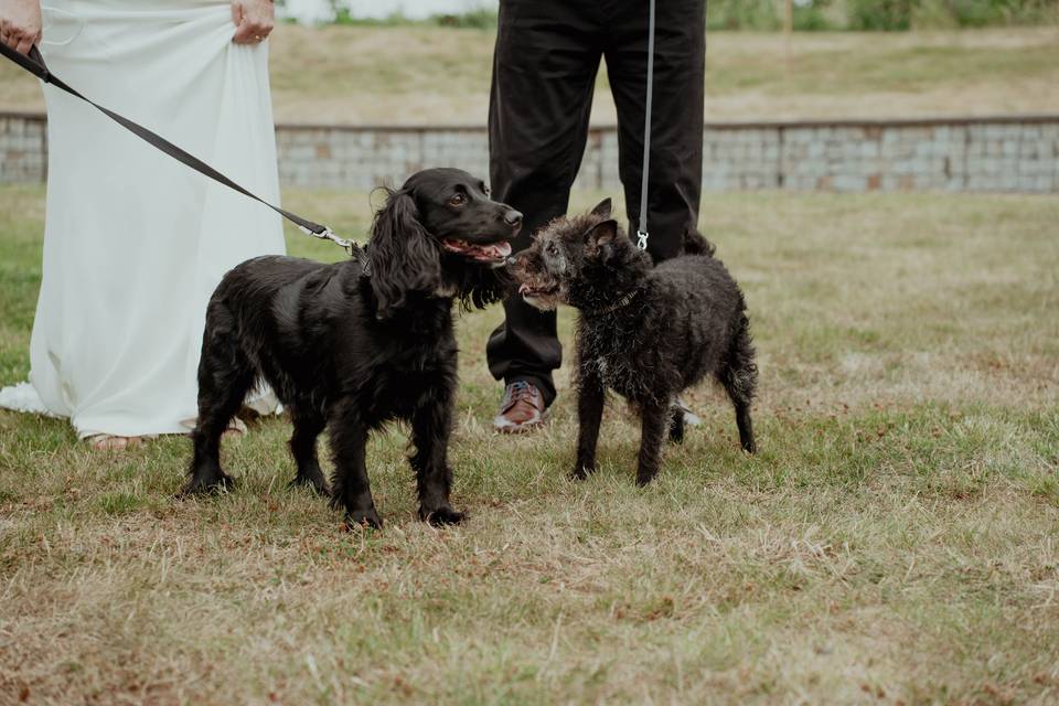 Florie and Midge