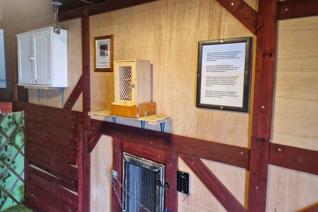 Inside the escape room