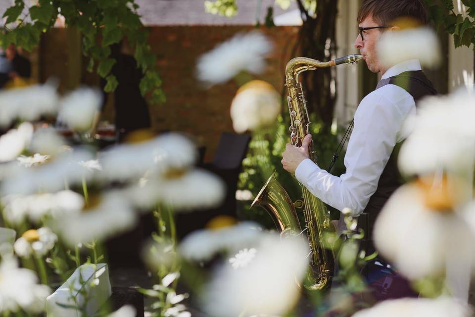 Through the flowers