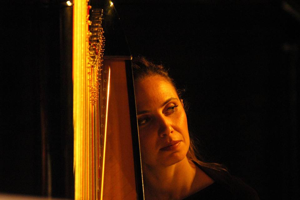 Wedding harpist