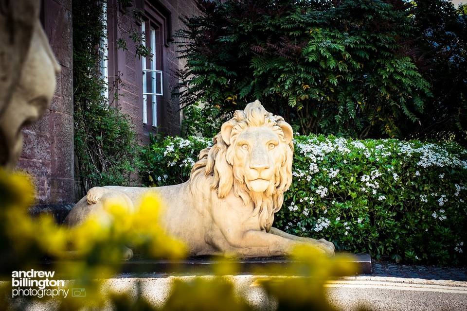 Lions at the Entrance