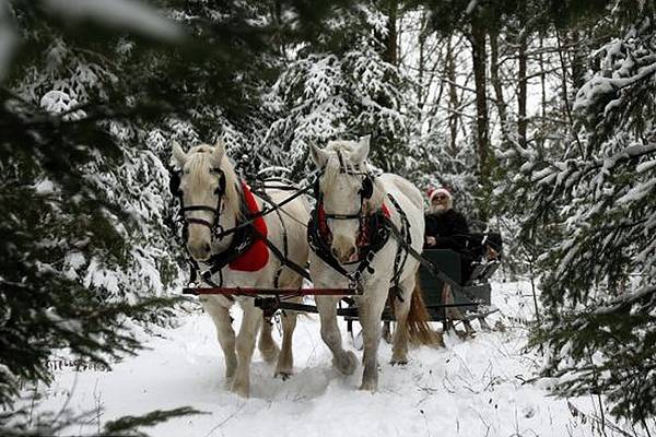 Horse and sleigh