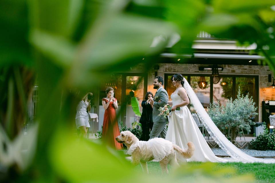 Destination Wedding Antalya