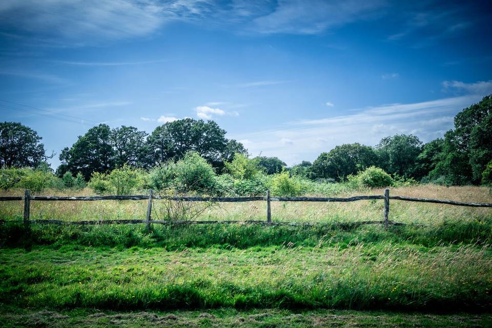 View from the meadow