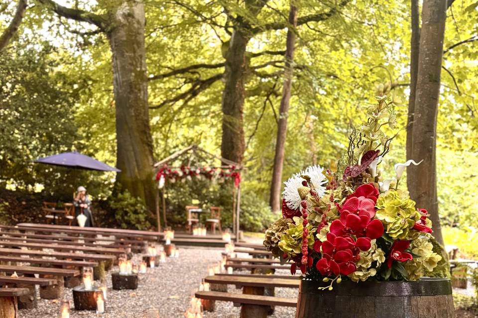 Modern Vibes at Beechhill