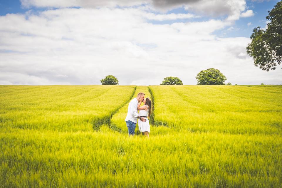 Field kiss