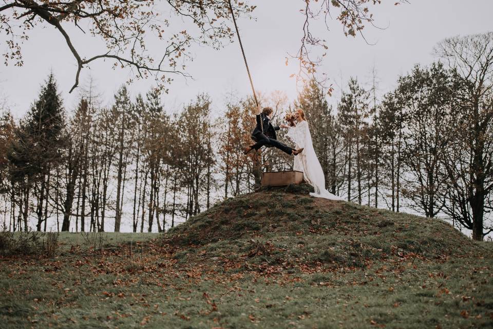 Big tree swing