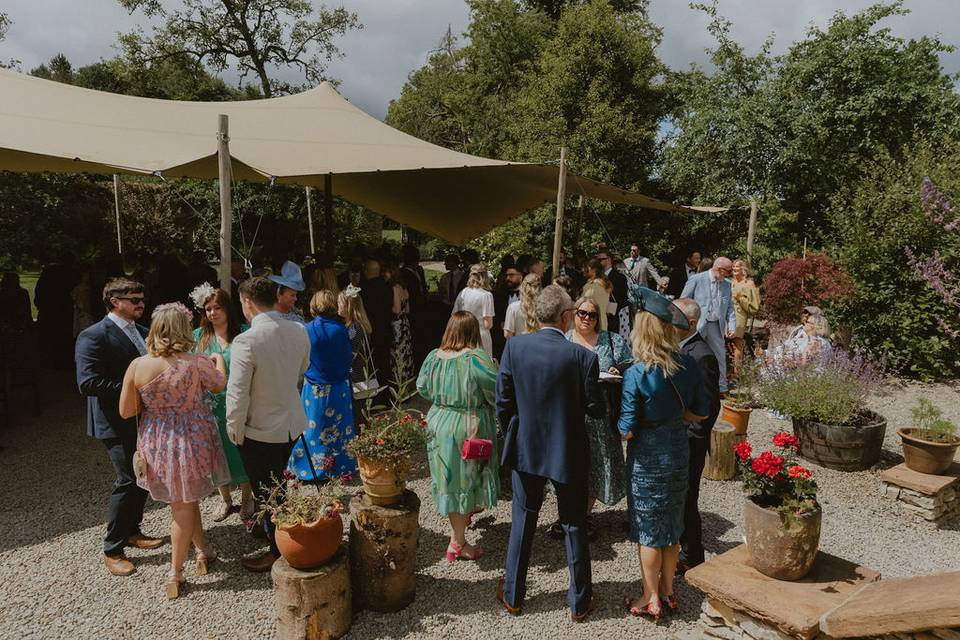 Drinks reception walled garden