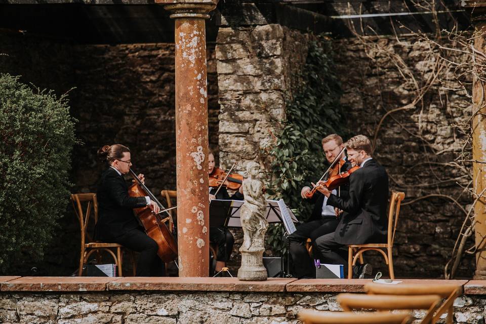 String quartet in Italian garden