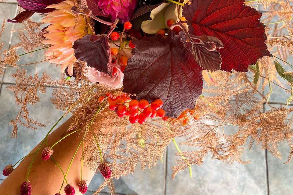 POPPY GARDNER FLOWERS