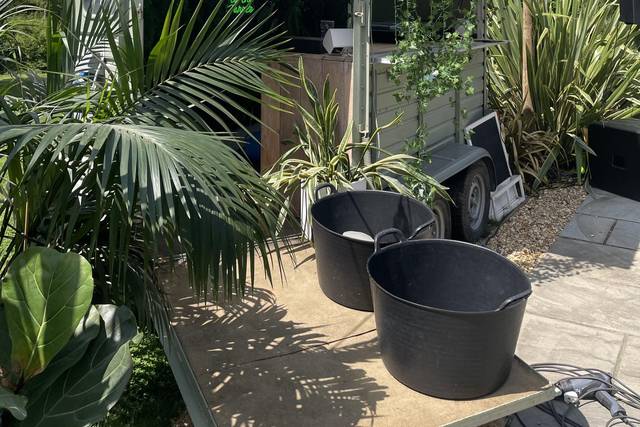 Jungle interior + exterior