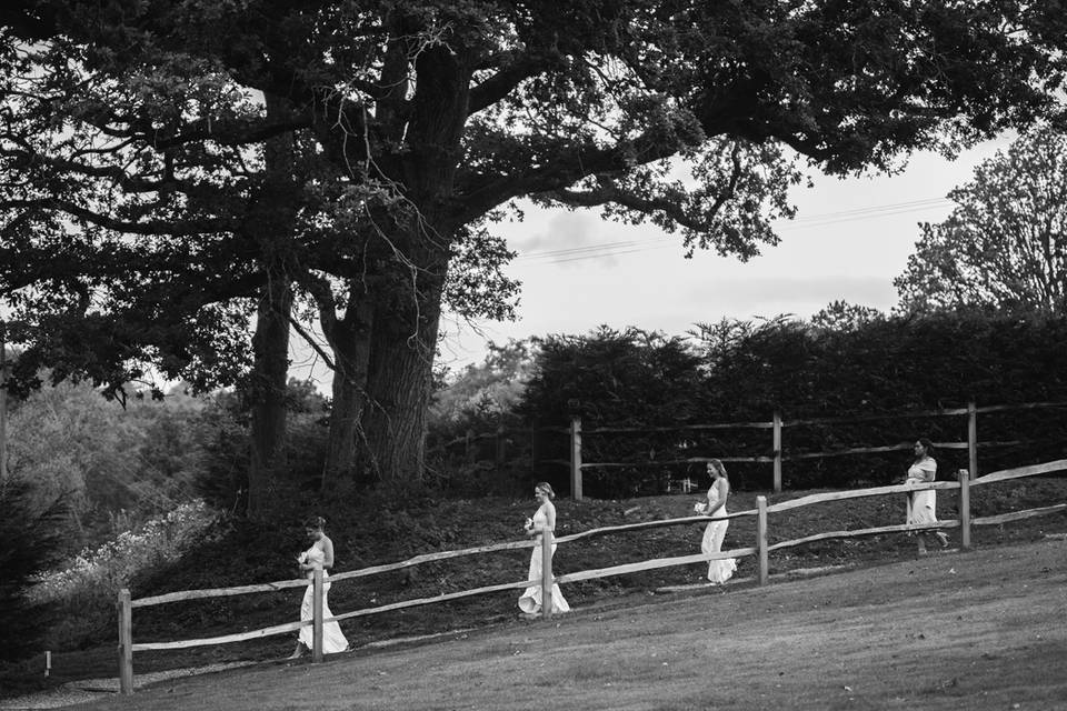 Bridesmaids walk to ceremony