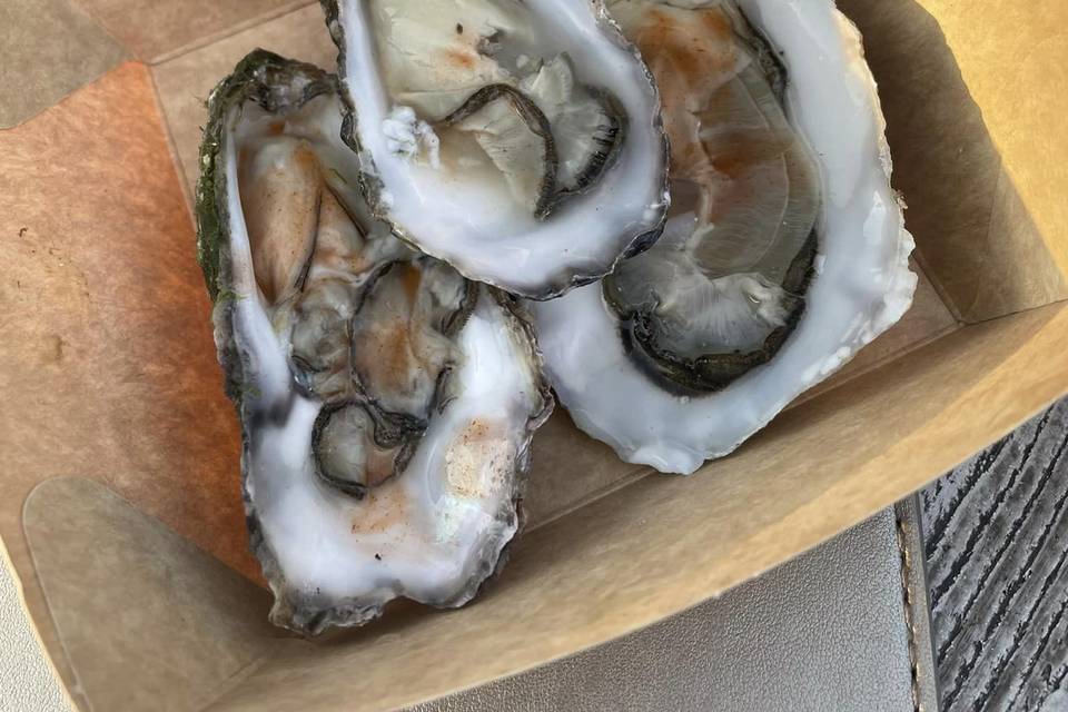 Fresh Shucked Oysters