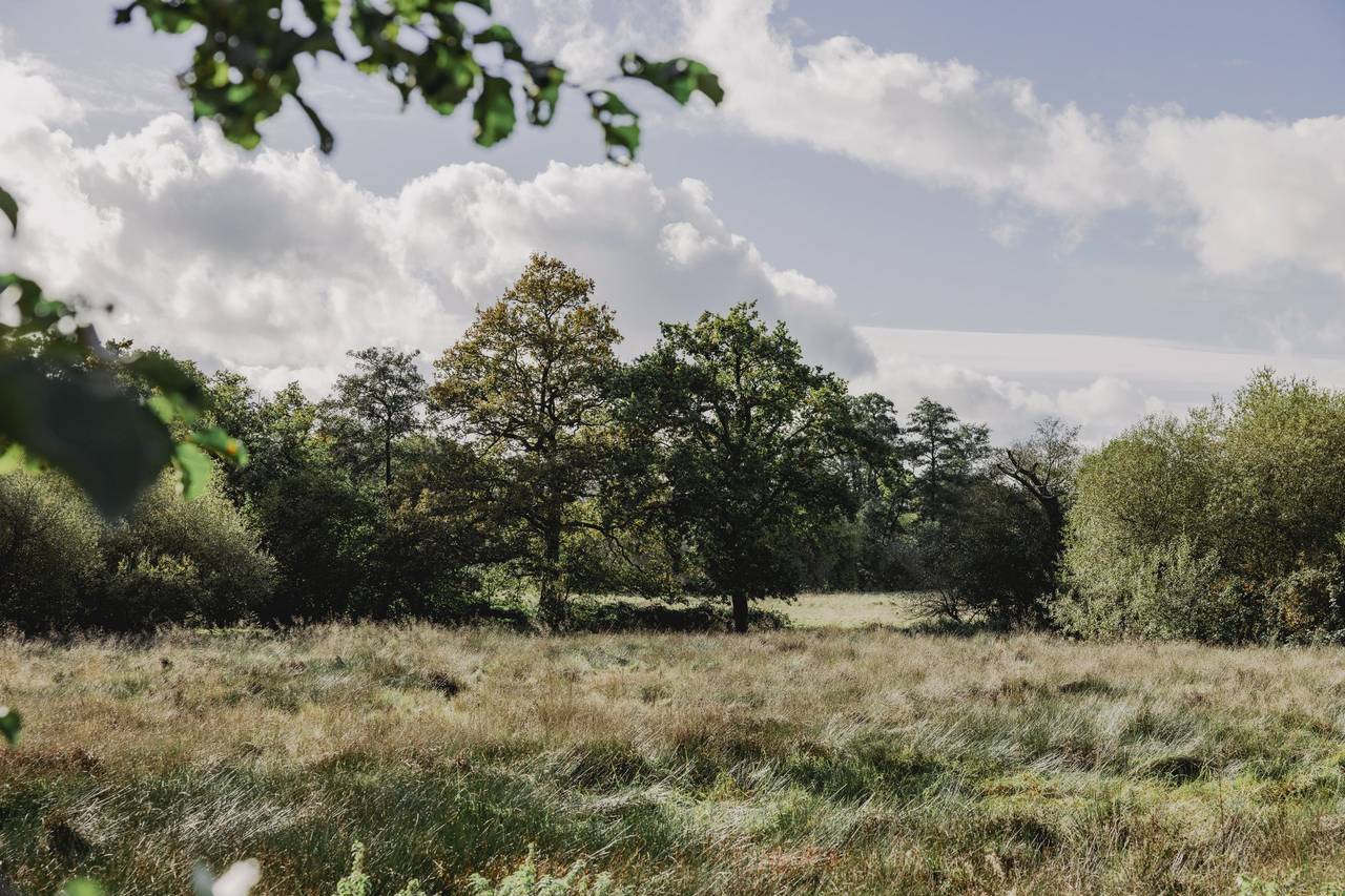 Millbridge Court Barn Weddings Farnham, Surrey | hitched.co.uk