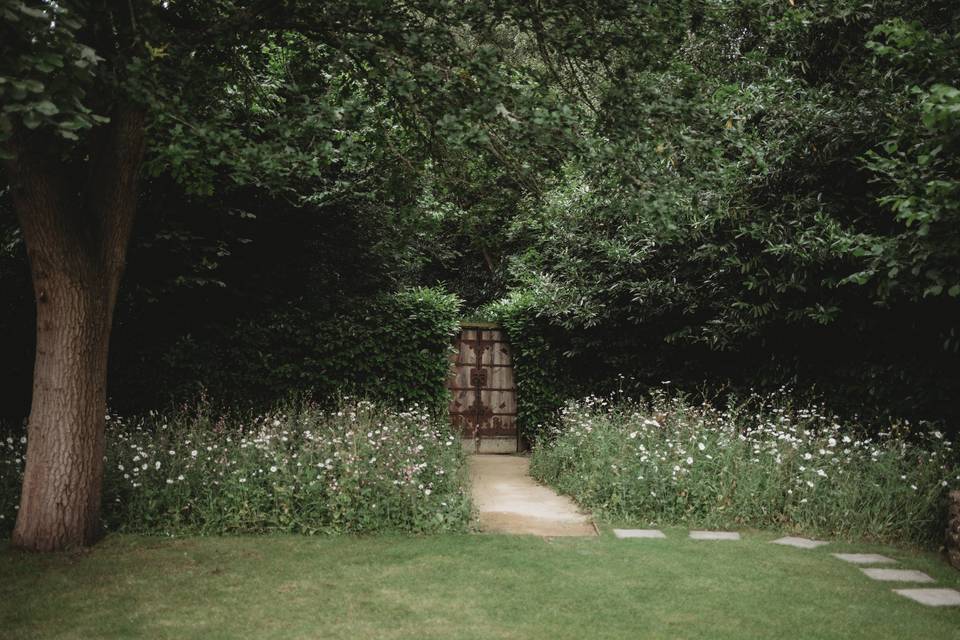 The flower meadow