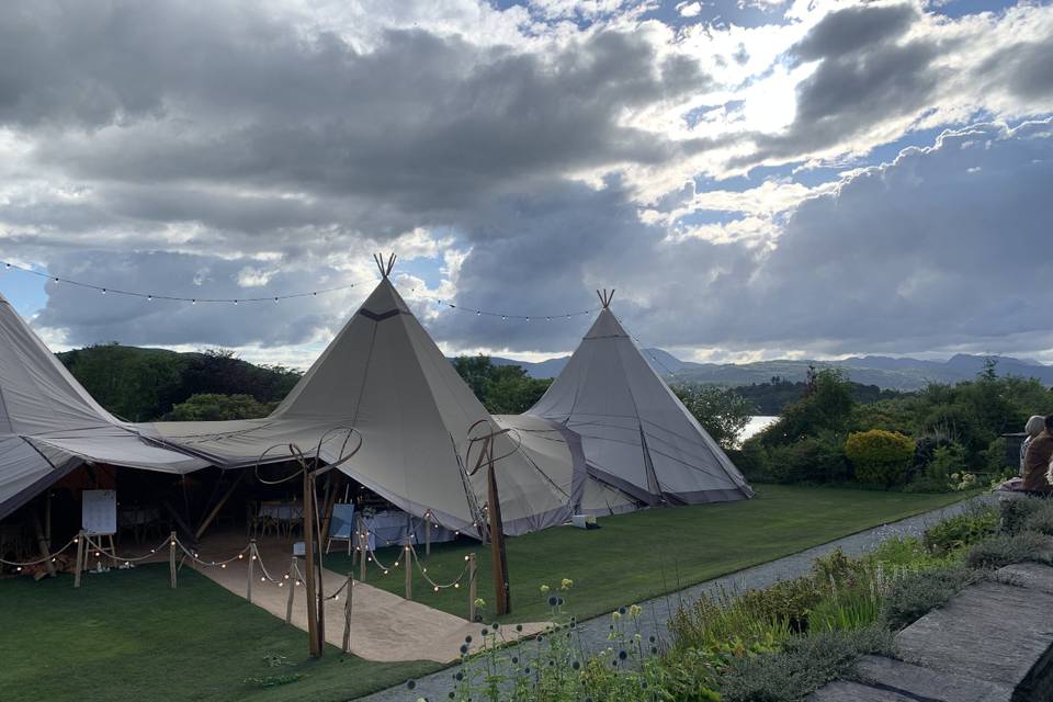 TIPI Wedding