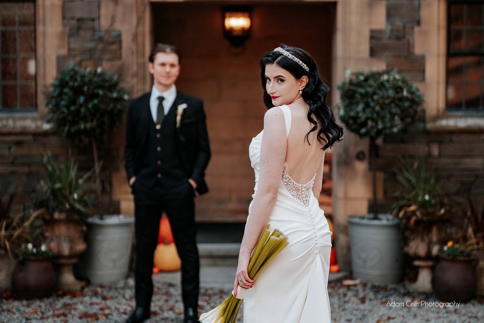Beautiful backdrops