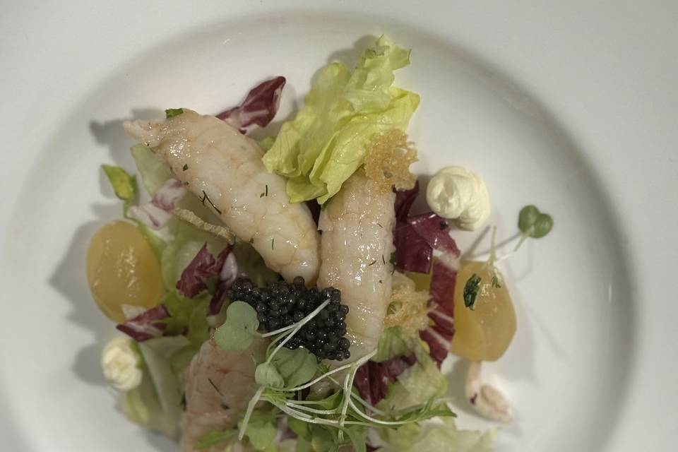 Wild caught langoustine salad